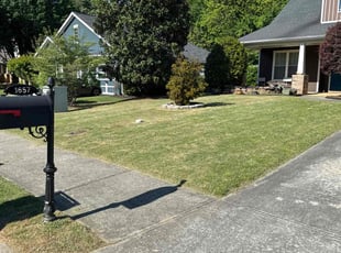 Angel T.'s Lawn Care service result