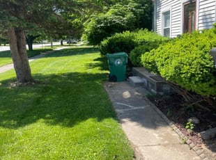 JACQUELINE B.'s Lawn Service service result