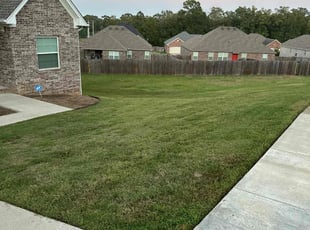 Linh T.'s Lawn Care service result