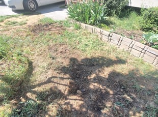 Landscaping by Michael Oquendo for LaToya W. in Knightdale, NC