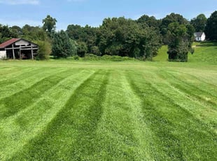 Sheila M.'s Lawn Mowing Service service result