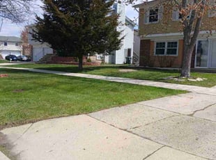 Priscilla S.'s Grass Cutting service result