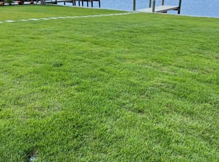Nic L.'s Lawn Care service result