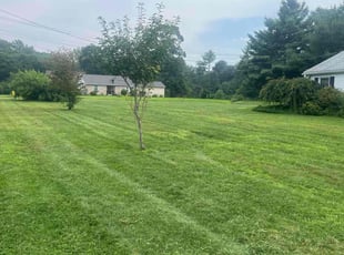 Evelyn R.'s Lawn Care service result