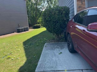 Bush Trimming by Louis Sampson for David M. in Mableton, GA