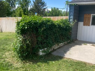 Bush Trimming by Shawn Davis for Jennifer D. in Salt Lake City, UT