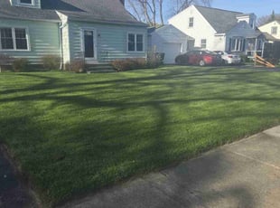 Gregory B.'s Yard Cutting service result