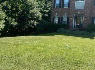 Monica S.'s Lawn Mowing service result