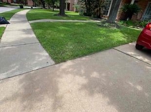 Aimee B.'s Lawn Service service result