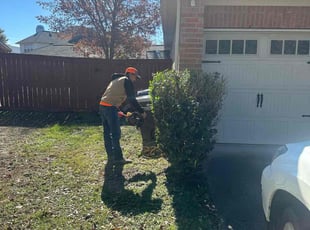 Bush Trimming by Eduardo Santoyo for Emily N. in Houston, TX