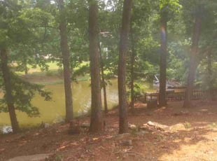 Leaf Removal by Shaquille Davis for Hubert R. in Moore, SC