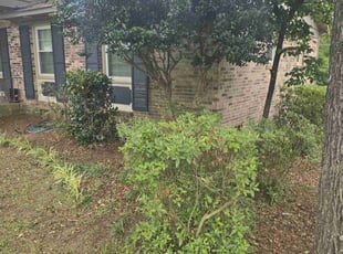 Bush Trimming by Reginald Cooper for Glenda Q. in Columbia, SC