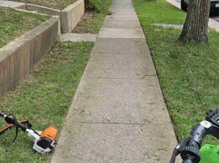 Marquerite S.'s Lawn Maintenance service result