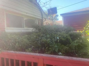 Bush Trimming by Gregory Williams Sr for Stephanie H. in Royal Oak, MI