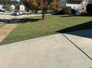 Briana R.'s Grass Cutting service result