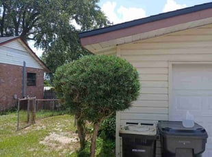 Bush Trimming by Brad Hardy for Evelyne M. in Winter Haven, FL