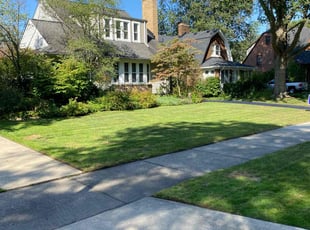 Derek J.'s Lawn Maintenance service result