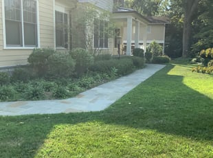 Bush Trimming by Jordan Wooddell for Dawn C. in Bethesda, MD