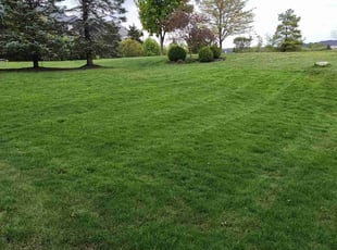 Joe P.'s Lawn Maintenance service result