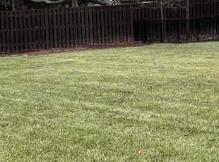 Leaf Removal by Grant Holmes for Erin G. in Noblesville, IN