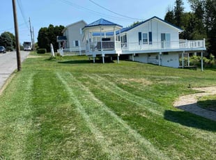 Boushelle P.'s Lawn Mowing service result