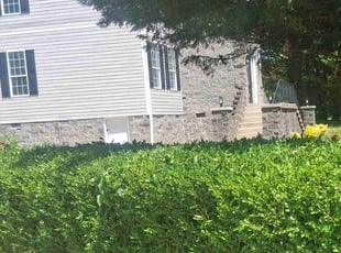 Bush Trimming by Travis Carroll for Raphael J. in Greensboro, NC