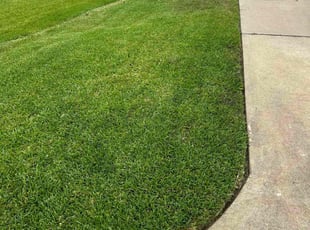 Weeding by Raul Teniente for Christina H. in Cypress, TX