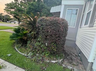 Bush Trimming by Richard Thomas for Christine C. in Jefferson, LA