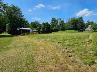 Andrew R.'s Yard Cutting service result