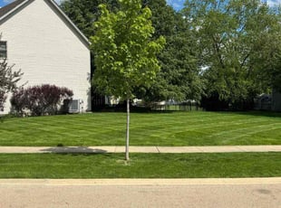Don S.'s Lawn Mowing Service service result