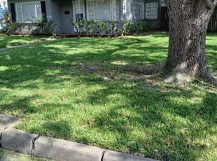 Lisa D.'s Yard Cutting service result