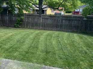 Allegra F.'s Lawn Mowing service result