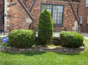 Bush Trimming by David Brooks for Crystal A. in Detroit, MI