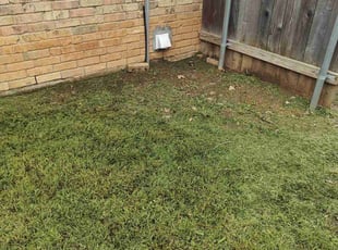 Leaf Removal by Juan Sanchez-Valdez for Eran G. in Fort Worth, TX