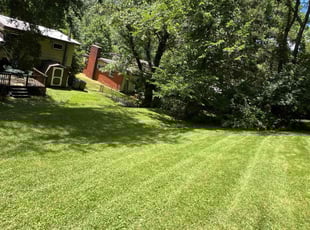 Joshua Q.'s Lawn Service service result
