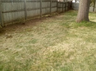 Cleanups by Savin Ungaro for Tim C. in Windsor, CT