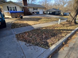 Leaf Removal by Neil Robinette for Kerri G. in Prairie Village, KS