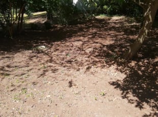 Cleanups by JUAN SANCHEZ for Kedrick T. in Doraville, GA