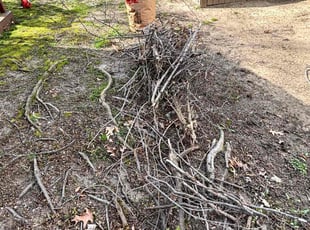 Leaf Removal by Robert Cain for Okenwa A. in Farmington Hills, MI