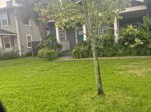 Ann P.'s Lawn Mowing service result