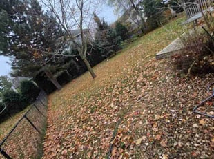 Leaf Removal by Gilles Nguimatsa for 2nd Chance Project -. in Vadnais Heights, MN