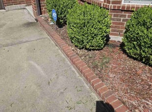 Weeding by Sandro Cardoso for Veronica S. in Grand Prairie, TX