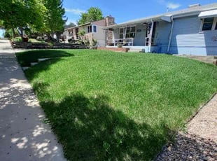 JoAnn P.'s Yard Cutting service result