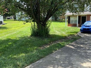 Darrel B.'s Lawn Maintenance service result