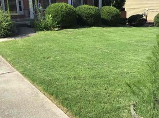 Kendell M.'s Lawn Service service result