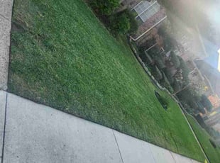 Brandon T.'s Lawn Maintenance service result