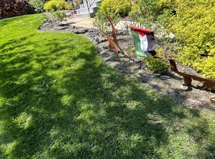 Brittany D.'s Lawn Care service result
