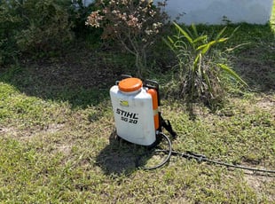Weeding by Carlton Calloway for Temeka D. in Tampa, FL