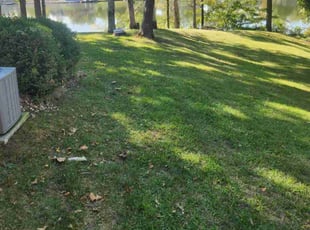 Kevin R.'s Yard Cutting service result