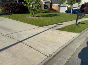 Ashley C.'s Lawn Mowing service result
